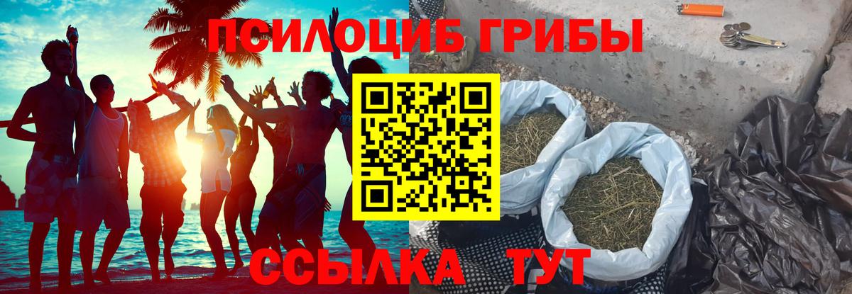 Галлюциногенные грибы MAGIC MUSHROOMS  Вход с VPN  Киров 